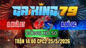 TRẬN 14 BỒ CPC2 25/5/2025 - BƯỚM BUÔNG ĐUÔI ĐÁ ĐIỀU QUAY ĐẦU BỎ CHẠY