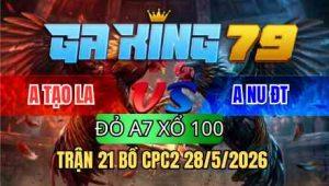 TRẬN 21 BỒ CPC2 28/5/2026 - ÚA QUÁ DẼO ĐỨNG RỒNG THỦ HÒA ĐẦY MAY MẮN