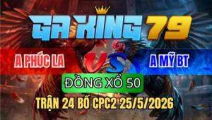TRẬN 24 BỒ CPC2 25/5/2026 - BƯỚM CHẤP NGÔNG ĐIỀU ĐÁ NẰM TẠI CHỖ
