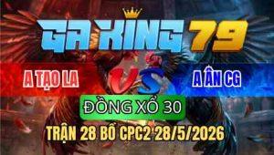 TRẬN 28 BỒ CPC2 28/5/2026 - BƯỚM ĐÂM TOÀN MU LƯNG QUE NẰM 1 ĐỐNG