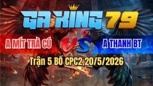 Trận 5 Bồ CPC2 20/5/2026 - Xanh Râu Đá Cựa Quá Hiểm Bướm Ói Bưng Ra