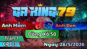 Trận 1 CPC3 Ngày 28/5/2026 - Gà Úa Đá Chân Chát Xám Vô Khó Ra Được