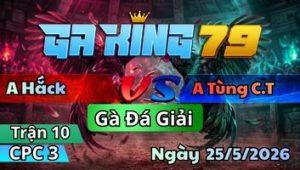 Trận 10 CPC3 Ngày 25/5/2026 - Xám Ra Sân Bay Bối Nạp Rút Hốt Xác Gà Úa Mau Lẹ