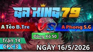 Trận 14 CPC3 Ngày 16/05/2026 - Xanh vô lọt trước gồng gánh trả lại vô kiến sì chìm tới