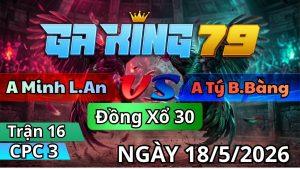 Trận 16 CPC3 Ngày 18/05/2026 - Điều mỏng gà quá úa kẹp mấy chân nhỏng nhẻo