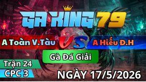 Trận 24 CPC3 Ngày 17/05/2026 - Bướm tỉnh gà né tránh đá cây xanh chết queo
