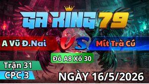 Trận 31 CPC3 Ngày 16/05/2026 - Điều nặng tang gồng gánh tới trong sụm
