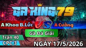 Trận 40 CPC3 Ngày 17/05/2026 - Xanh vô đâm đỏ không biết đường sửa
