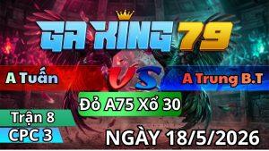 Trận 8 CPC3 Ngày 18/05/2026 - Vàng đuôi đen vô múa xanh bắt ra chung tiền gọn lẹ