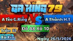 Trận 12 Xà Xía Ngày 26/5/2026 - Điều Bông Canh Chặn Mấy Cây Gà Úa Nằm Chỗ