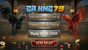 Xem Full Video Đá Gà CPC4 Ngày 16/05/2026