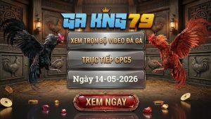 Xem Full Video Đá Gà CPC5 Ngày 14/05/2026