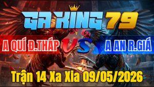 Trận 14 Xa Xia 09/05/2026 - Xám đá 10 chân bướm đá chân tính tiền liền