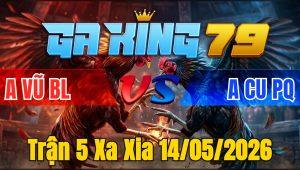 Trận 5 Xa Xia 14/05/2026 - Vô Trong Điều Đá Bo Lớn Bướm Tang Nặng Buông Chạy
