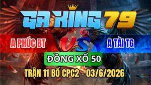 TRẬN 11 BỒ CPC2 03/6/2026 - CÚ KÊU ĐIỀU NẰM 1 ĐÓNG BƯNG RA