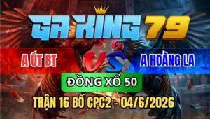 TRẬN 16 BỒ CPC2 04/6/2026 - BƯỚM NHẬP VÀO ĐÁ QUÁ CỰA ĐIỀU QUAY ĐẦU BỎ CHẠY