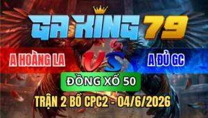 TRẬN 2 BỒ CPC2 04/6/2026 - ĐIỀU QUÁ RỒNG TRẢ CHÂN ÚA QUAY ĐẦU CHẠY PHẢN ĂN 2