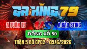 TRẬN 5 BỒ CPC2 05/6/2026 - ĐIỀU ĐÂM TOÀN NGỰC MU LƯNG ĐỎ NẰM 1 ĐỐNG BƯNG RA
