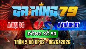 TRẬN 5 BỒ CPC2 06/6/2026 - ĐIỀU NẠP CỰA HAY CÚ QUAY ĐẦU CHẠY LẸ