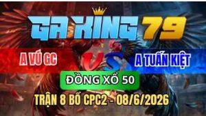 TRẬN 8 BỒ CPC2 08/6/2026 - XÁM ĐÂM HANG CUA NHẸ NHÀNG BƯỚM VỀ LỖ NẰM BIỆT