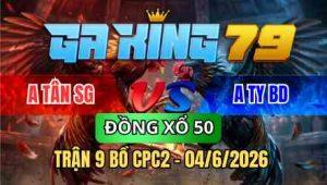 TRẬN 9 BỒ CPC2 04/6/2026 - BƯỚM LÊN CHÂN QUÁ TỊCH ĐIỀU NẰM PHẢN TANG