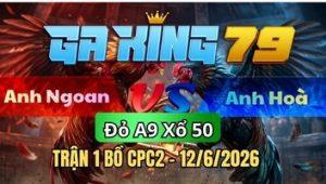 Trận 1 CPC2 Ngày 12-6/2026 - Úa đá 10 chân không bằng 1 chân gà bướm