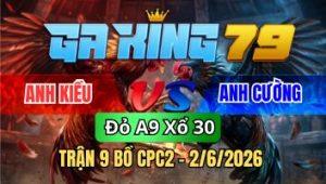 Trận 9 CPC2 Ngày 02/6/2026 - Gà Úa Vũ Quá Vũ Gà Điều Vô Ngộp Liền