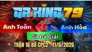 Trận 16 CPC2 Ngày 11/6/2026 - Bướm canh chặn gà que lọt chết mau lẹ gọn gàng