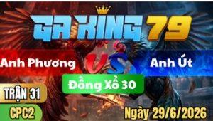Trận 31 CPC2 Ngày 29/6/2026 - Úa tới tang nặng cáp vô đập cánh rớt tiền