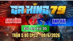 Trận 5 CPC2 Ngày 9/6/2026 - Cú tẻo ra sân gà que chà mấy chân bưng ra ngoài