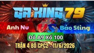Trận 4 CPC2 Ngày 11/6/2026 - 2 con cùng nết đá bướm đâm hơn về bờ trước