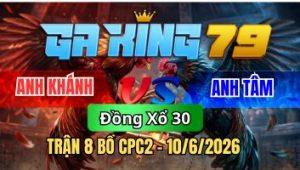 Trận 8 CPC2 Ngày 10/6/2026 - Gà điều ra đá chân 1 xanh gãy dò hết cứu