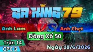 Trận 14 CPC3 Ngày 18/6/2026 - Điều đỏ trên mà điều vàng ra sân vàng khó về