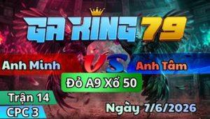 Trận 14 CPC3 Ngày 7/6/2026 - Điều Vàng Dẫn Tan Từ Đầu Đến Cuối Về