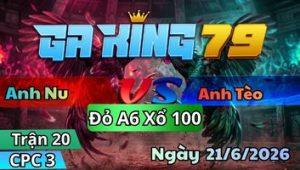 Trận 20 CPC3 Ngày 21/6/2026 - 2 con vô tùng gãy cánh cả 2 úa còn tốt về bờ trước