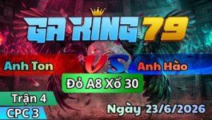 Trận 4 CPC3 Ngày 23/6/2026 - Xám ra đá đúng chân 1 gà bướm không đứng nổi