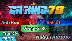 Trận 29 CPC3 Ngày 23/6/2026 - Gà úa ra đè bạc cho lắm cái kết que đá cắm đầu