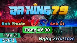 Trận 31 CPC3 Ngày 23/6/2026 - Điều tơ quá vô trong lựng tựng bướm đá cây tắt
