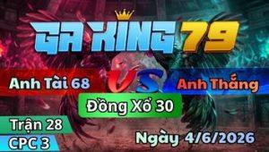 Trận 28 CPC3 Ngày 4/6/2026 - Bướm Đá Đâm Như Cái Máy Dập In Tiền
