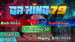 Trận 3 CPC3 Ngày 8/6/2026 - Bướm Đá Chân Thấp Gà Điều Đóng Cho Mấy Đá Về