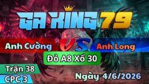 Trận 38 CPC3 Ngày 4/6/2026 - Bướm Bể Tan Bỏ Chạy Bể Trứng Dái