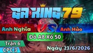 Trận 6 CPC3 Ngày 23/6/2026 - Gà xám dầy gà quá điều đá sụp không nổi