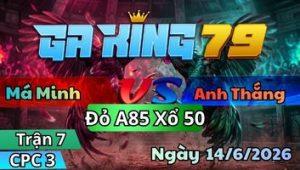Trận 7 CPC3 Ngày 14/6/2026 - Điều đỏ ra vũ lớp 1 gà xanh hết đường hết bột