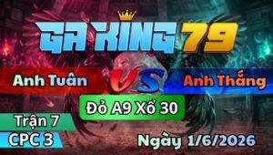 Trận 7 CPC3 Ngày 1/6/2026 - Úa Dẻo Dai Gồng Gánh Đưa Gà Điều Đi Xa