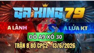 Trận 8 CPC2 Ngày 13/6/2026 – ANH LÀNH VS ANH LỬA KIẾN TƯỜNG