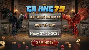 Xem Full Video Đá Gà CPC5 Ngày 27/06/2026