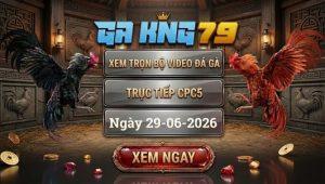 Xem Full Video Đá Gà CPC5 Ngày 29/06/2026